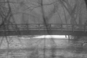 black and white 122
