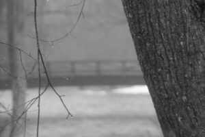 black and white 123
