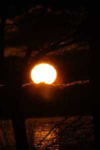 nature 023